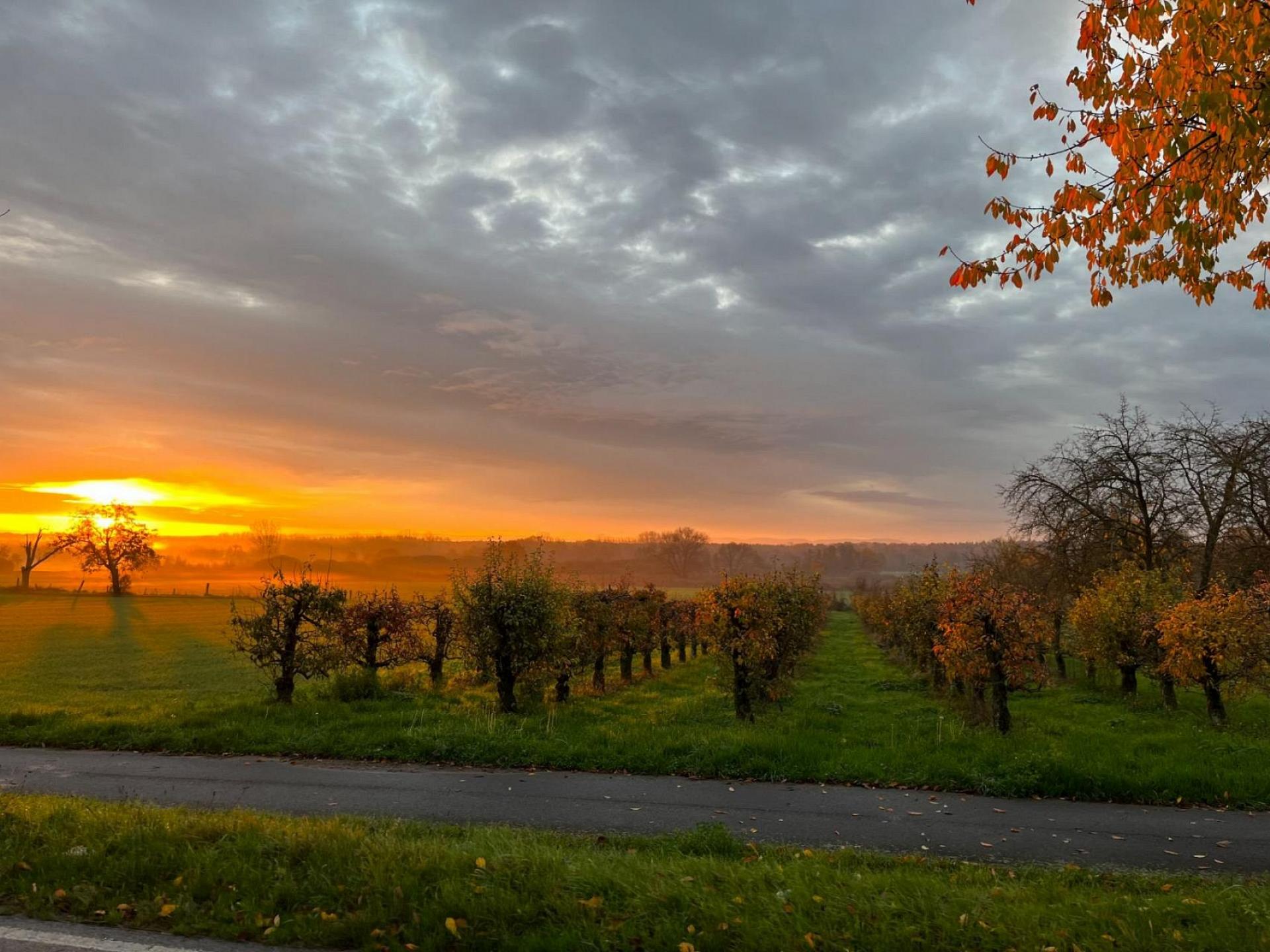 Sonnenaufgang Schweigen